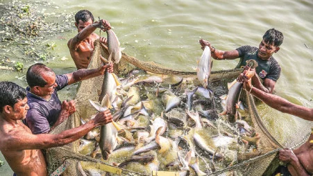 আগাছানাশক